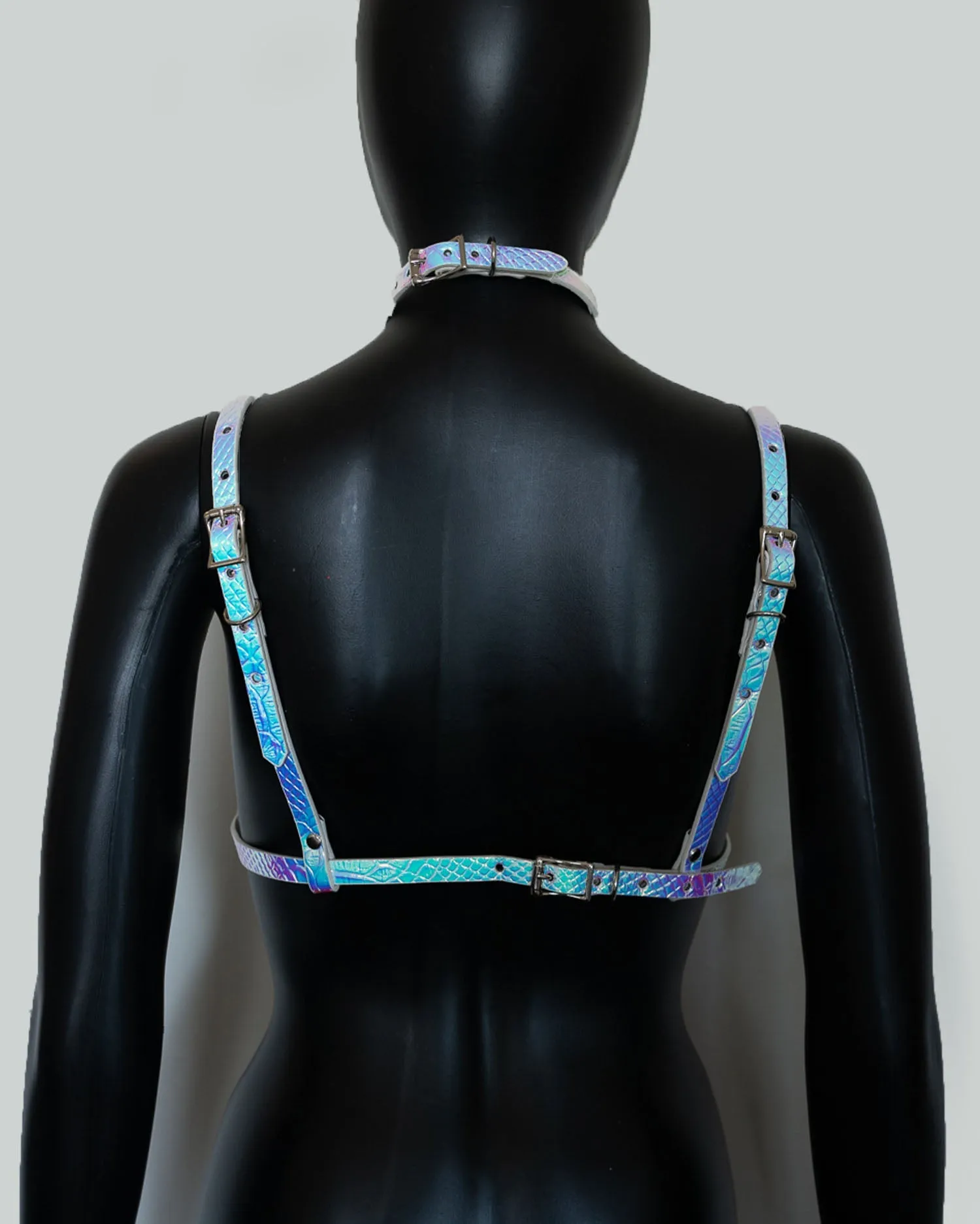 Double Strap Harness With Choker