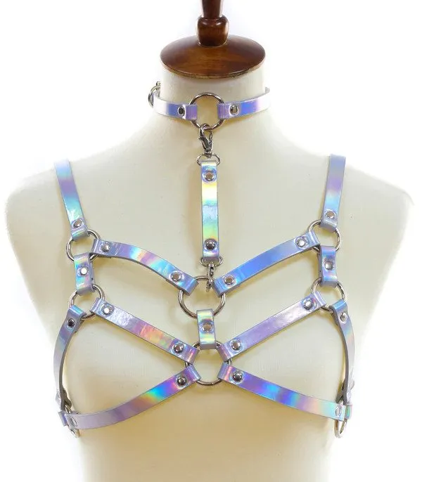 Double Strap Harness With Choker