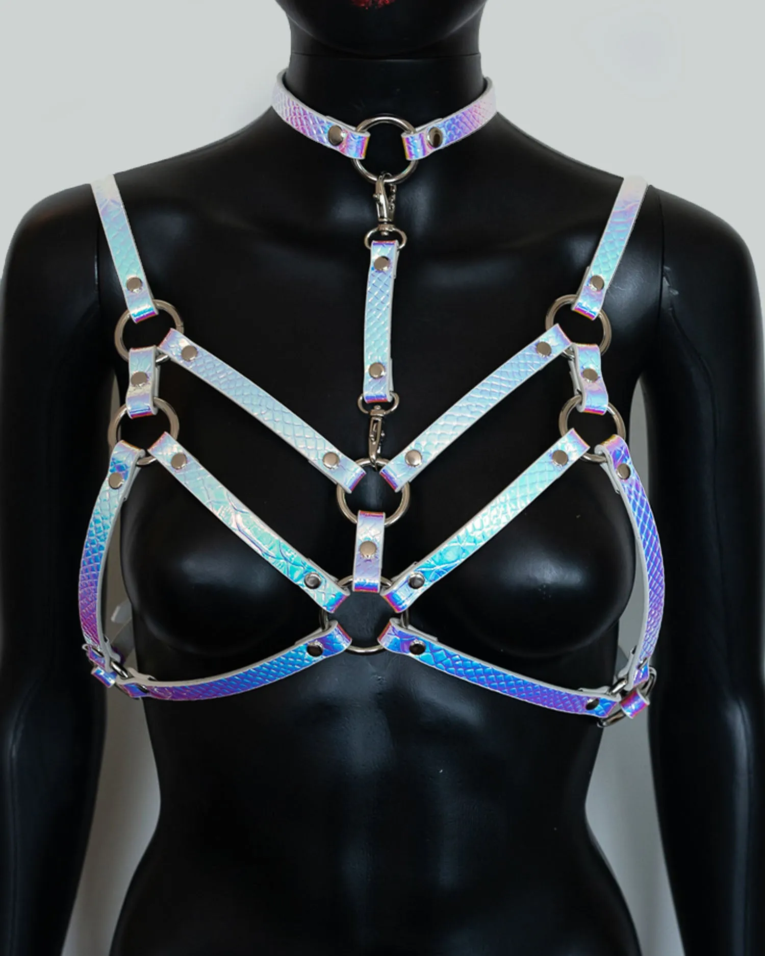 Double Strap Harness With Choker