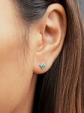 Zelma Turquoise Stud Earrings